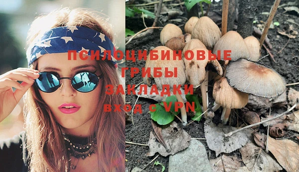 хмурый Алексеевка