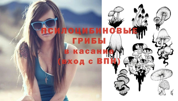 винт Алзамай
